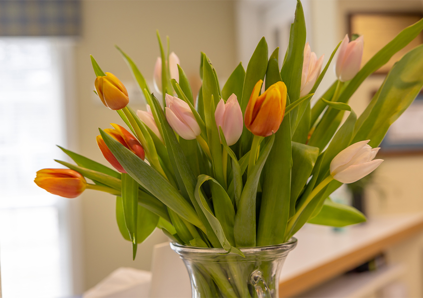 Orange and pink tulips in a vase